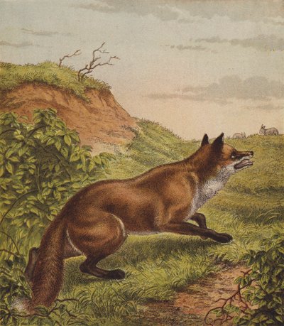 Fuchs von English School