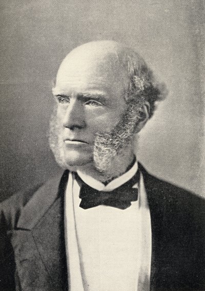 Porträt von Thomas Hughes (1822-96) von English School