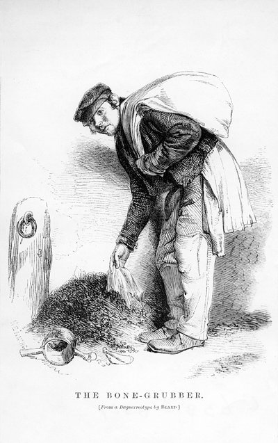 Der Knochenhändler von English School