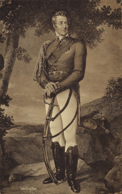 Der Herzog von Wellington von English School