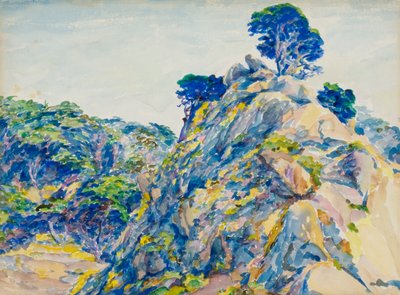Point Lobos von Ernest Haskell