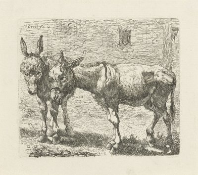 Zwei Esel von Ernst Ludwig Creite