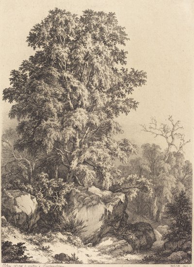Buchenhain, 1840 von Eugene Bléry