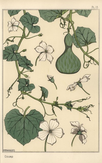 Botanische Illustration des Kürbisses von Eugene Grasset