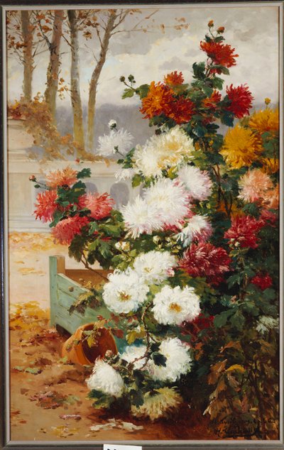 Chrysanthemen in einem ummauerten Garten von Eugene Henri Cauchois