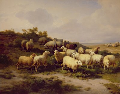 Schafe an der Küste, 1878 von Eugene Joseph Verboeckhoven