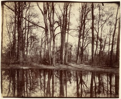 Saint-Cloud von Eugène Atget