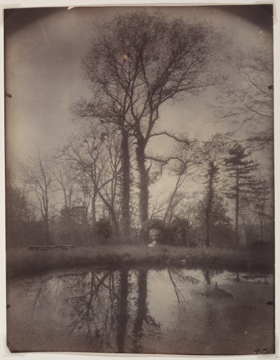 Der Park von Sceaux [April 1925, 7 Uhr morgens] von Eugène Atget