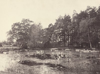Sumpf am Piat Belle-Croix Plateau von Eugène Cuvelier