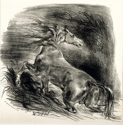 Wilder Hengst von Ferdinand Victor Eugene Delacroix