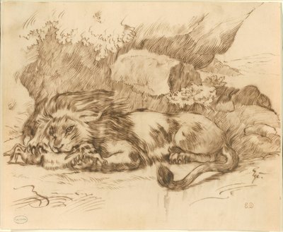 Löwe frisst ein Kaninchen von Eugène Delacroix