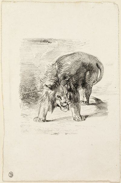 Stehender Löwe von Eugène Delacroix