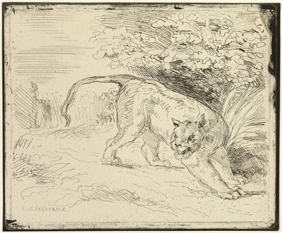 Tiger bereit zum Sprung von Eugène Delacroix