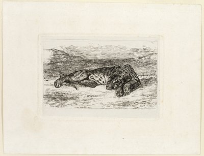 Tiger ruht in der Wüste von Eugène Delacroix