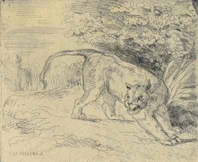 Tiger im Anschlag von Eugène Delacroix