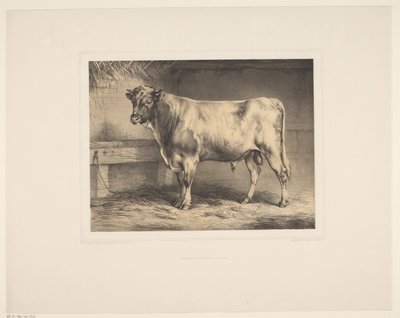 Stier von Eugène Verboeckhoven