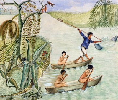 Manati-Jagd, Nicaragua-See von F. Deiezmann