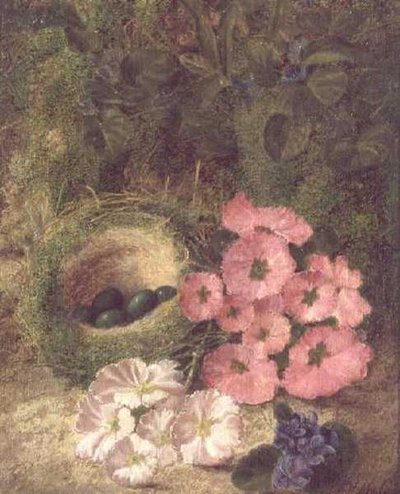 Frühling (Nest mit Hundsrosen) von Fanny Jane Bayfield