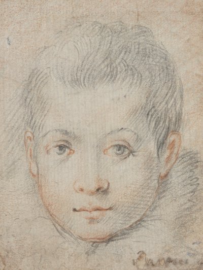 Kopf eines Jungen von Federico Zuccaro