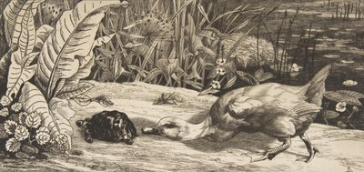 Der Unbekannte, 1862 von Felix Bracquemond