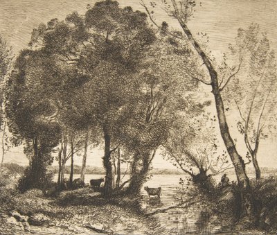 Der See von Felix Bracquemond