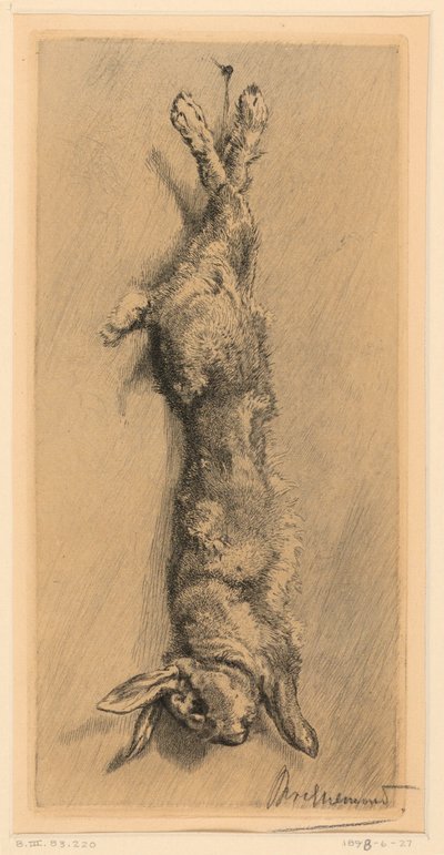Der Wildkaninchen von Felix Bracquemond