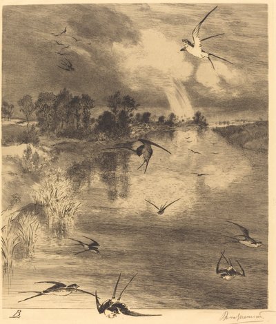 Die Schwalben von Felix Bracquemond