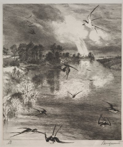 Schwalben von Felix Bracquemond