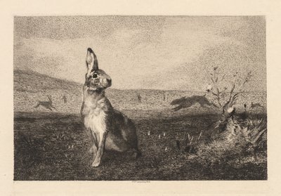 Der Hase (Le Lièvre) von Felix Bracquemond