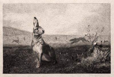 Der Hase (nach A. de Balleroy) von Felix Bracquemond