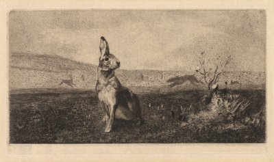 Der Hase, 1865 von Felix Bracquemond