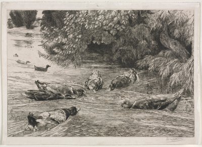 Das Fragezeichen von Felix Bracquemond