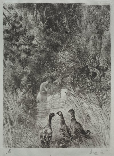 Die überraschten Enten von Felix Bracquemond