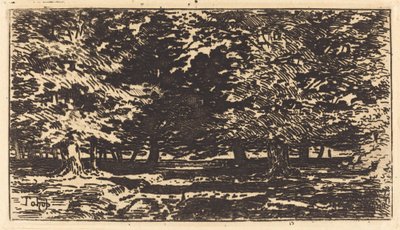Wald von Felix Hilaire Buhot