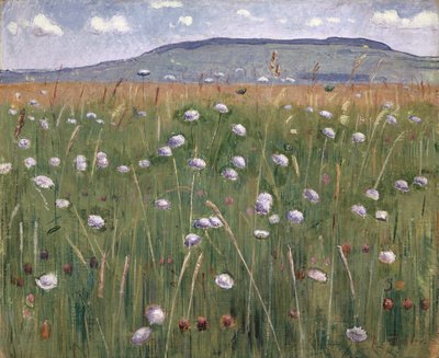 Wiesenstück, ca. 1901 von Ferdinand Hodler