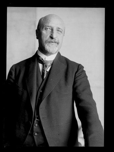 Bild von Karl Seitz (1869-1950) von Ferdinand Schmutzer
