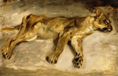 Eine schlafende Löwin, ca. 1830 von Ferdinand Victor Eugene Delacroix