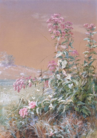 Ohne Titel von Fidelia Bridges