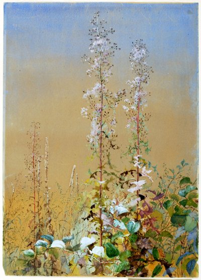 Ohne Titel von Fidelia Bridges