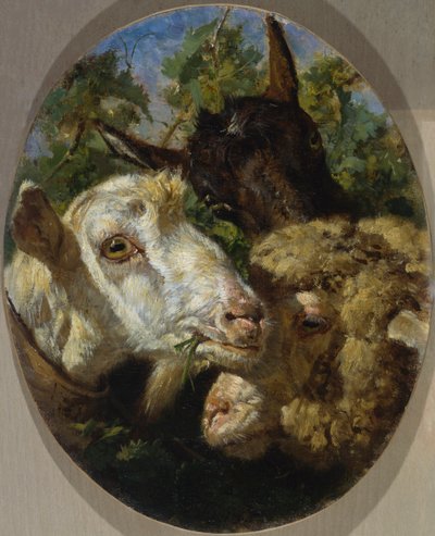 Tierköpfe von Filippo Palizzi