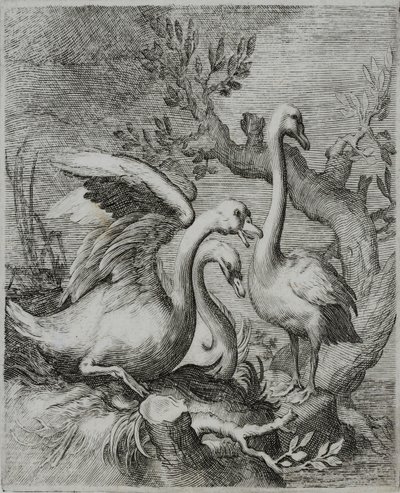 Alte Meister Gravur von Flemish School