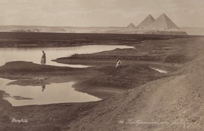 Pyramiden von Gizeh, ca. 1900 von Félix Bonfils