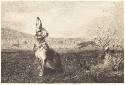 Der Hase von Félix Bracquemond after Albert de Balleroy