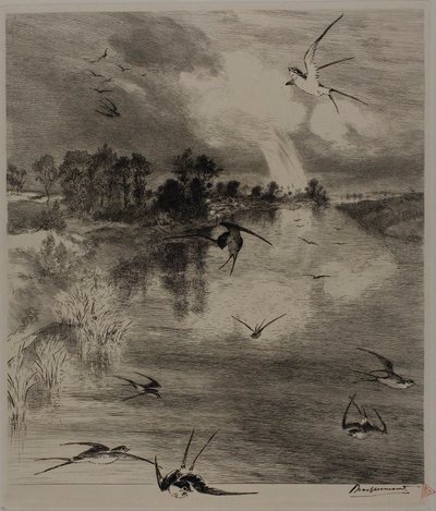 Schwalben von Félix Henri Bracquemond