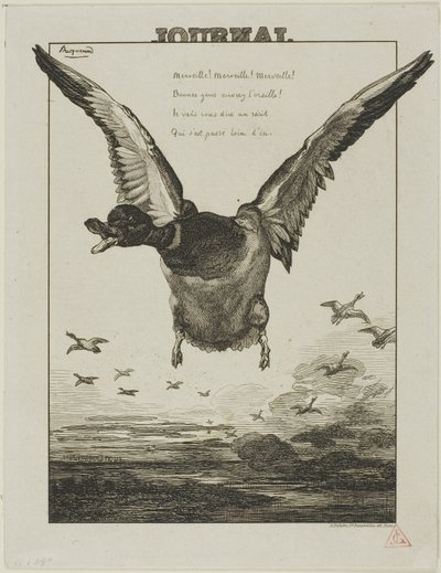 Die Ente von Félix Henri Bracquemond