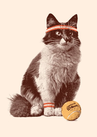 Tennis Katze, 2021 von Florent Bodart