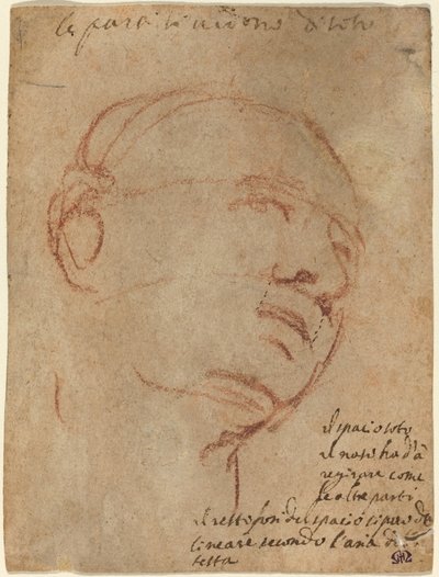 Kopf eines Mannes von Follower of Michelangelo