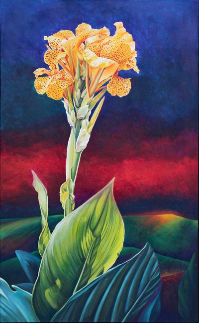 Gelbe Canna-Lilie von Frances Ferdinands