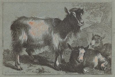 Ziege und zwei Kitze von Francesco Londonio