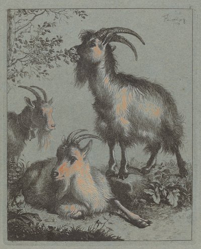 Drei Ziegen von Francesco Londonio